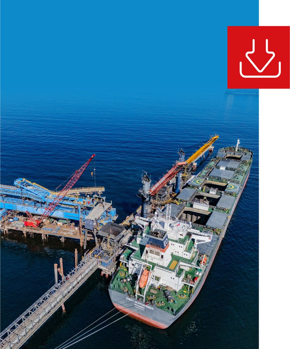 Descargas Puerto TGN Mejillones